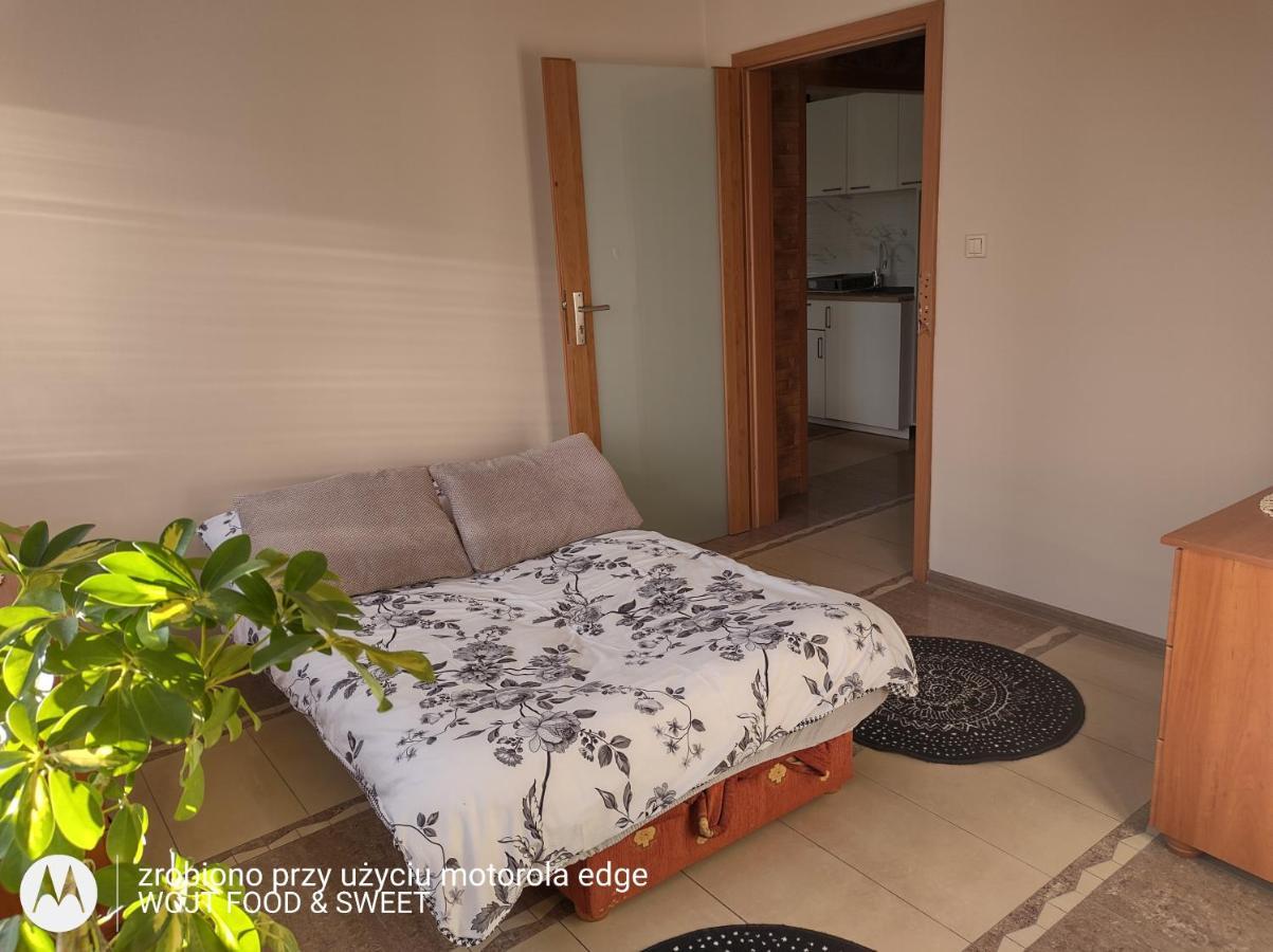 Nowy Dwór Gdański Apartament Good Night מראה חיצוני תמונה